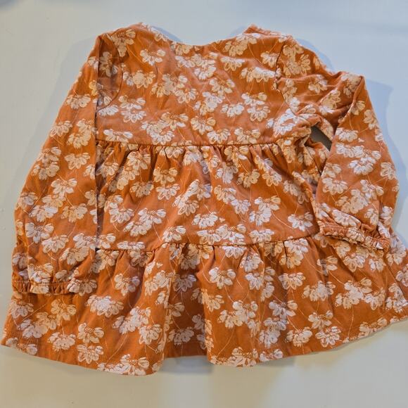 Burt Bee's Floral Spring/Fall Dress 24m - Picture 5 of 5